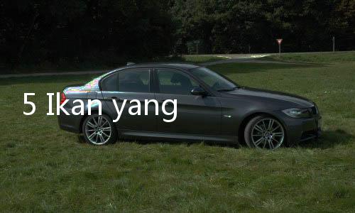 5 Ikan yang Mengandung Kolesterol Jahat, Enak Tapi Bikin Waswas