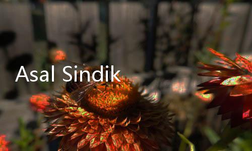 Asal Sindikat Judi Online di Indonesia Dibongkar Kominfo: Kebanyakan Dari Kawasan ASEAN