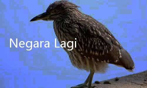 Negara Lagi Gak Baik, Firli KPK Malah Cabut Piknik ke Yogya