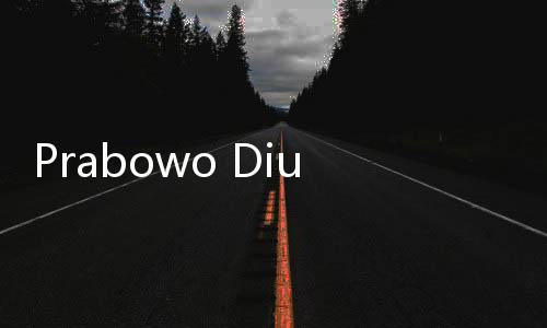 Prabowo Diundang Hadiri Acara Hari Revolusi Prancis Pada 14 Juli 2025